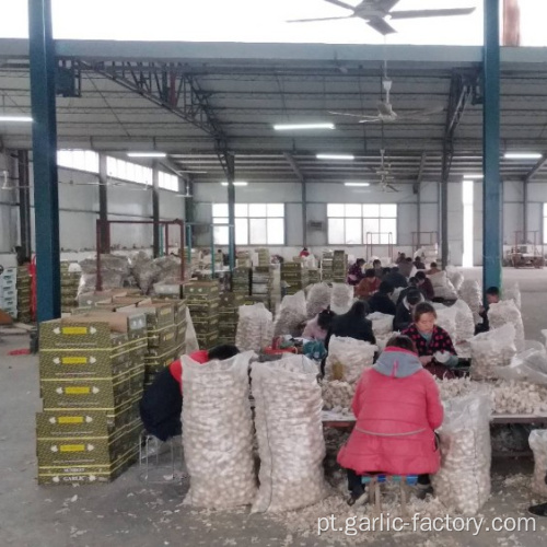 Mercado de alho xiang Jin